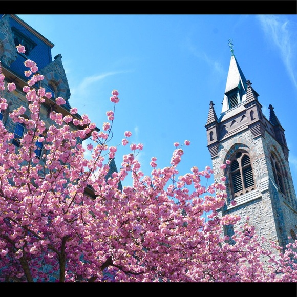 Meet your Posher, Ceaci - Picture 1 of 1